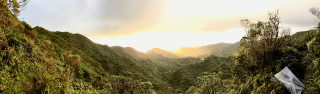 A view from Gillespie’s camp where she collected and studied Hawaiian stick spiders